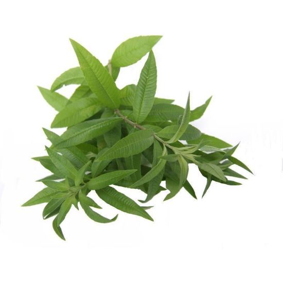 Bilde av Organisk Verbena (legejernurt) 15g