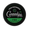 Bilde av Cannadips Fresh Wintergreen CBD snus 750mg - 15 porsjoner