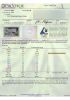 Bilde av Plantedamp CBD+CBG 10ml - 20% - 2000mg