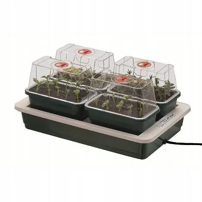 Bilde av Garland electric propagator with heating - 4 trays Garland  FAB4 37 x 22 x h18.5 cm